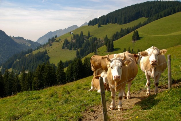 Kulturlandskap Sveits