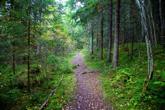 Skåtangen sti r2 -1