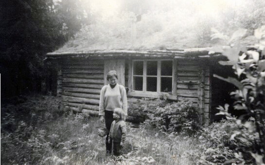 Bjørg. Gamle skogastu