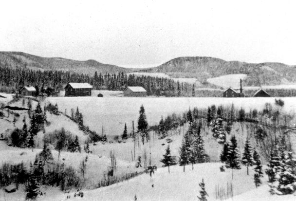 Namdalseid sentrum-4