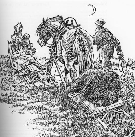 Bjønnjakt Vånnåbu008