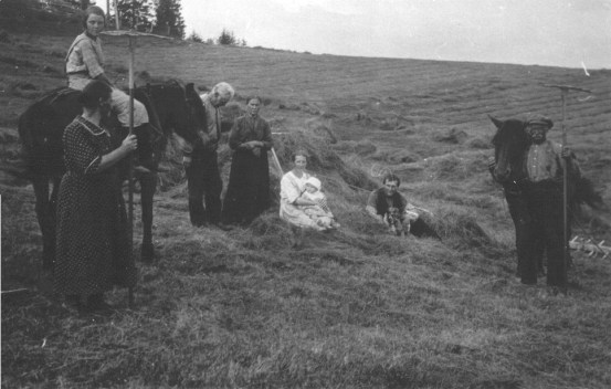 John Holt på Bøgset copy