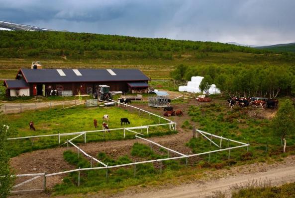 Heidal-Grimsdal r  (20 of 27)