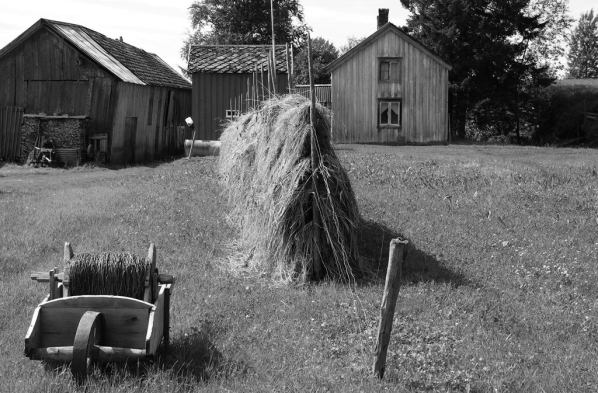 Skjelstadmark juli 09 sv