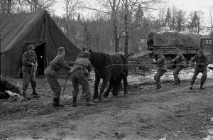 4804305051_6e08790779_o