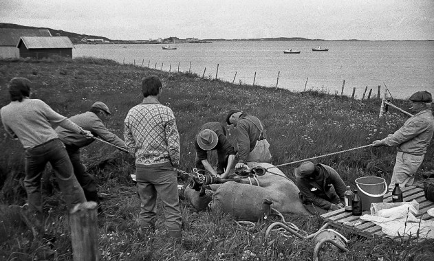 6378802565_a86af5840d_o