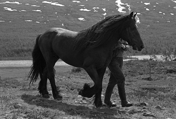 4736241720_3eee199c15_b