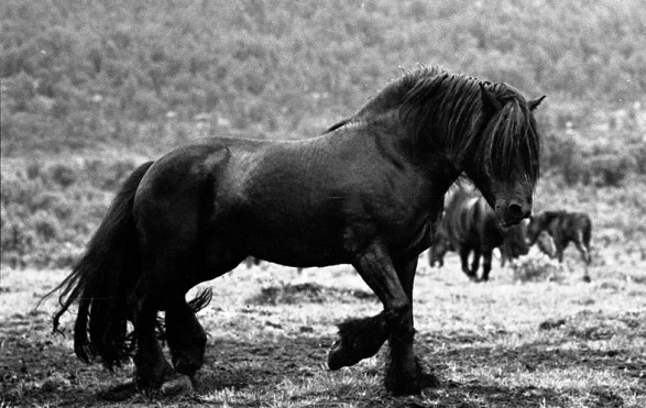 4736244304_d4e92ca54a_o