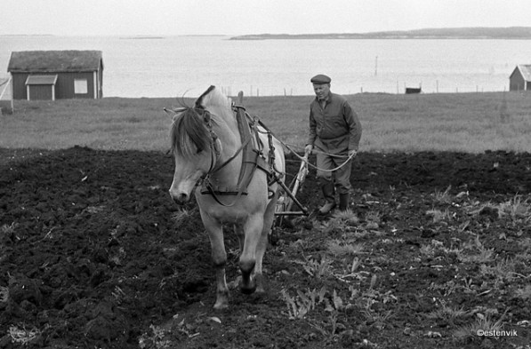 4821130352_6dde166b07_o