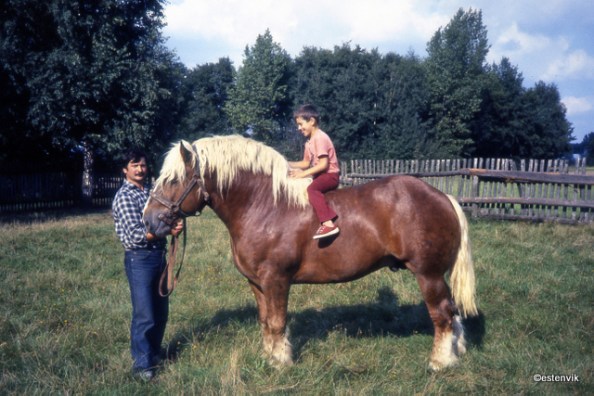 5174394097_830a927f89_o