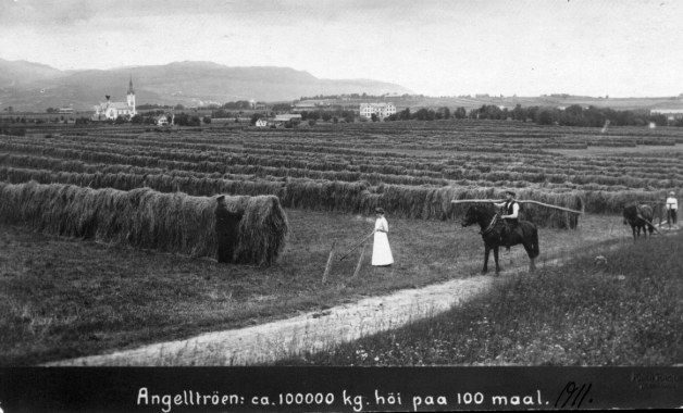 Angelltrøa 1911