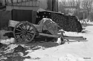 4820510647_851c800477_o