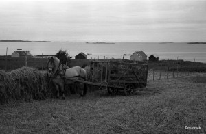 4820510861_c31b6c50a2_o