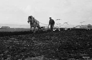 4821130294_60de4db679_o