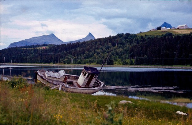 6727376809_453258b194_b