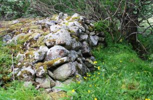 ????????????????????????????????????