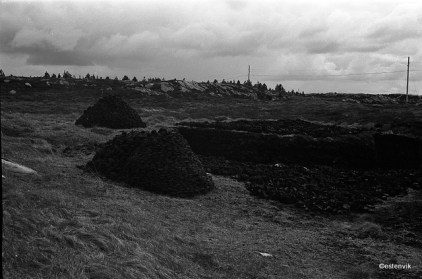 4821129802_f4d9a330a8_o