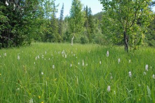 ????????????????????????????????????