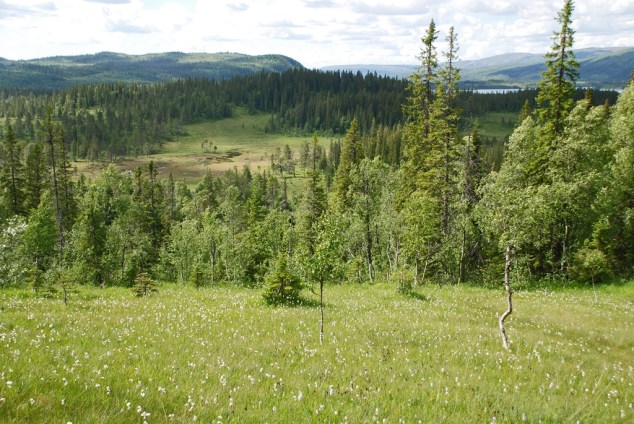 ????????????????????????????????????