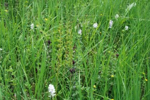 ????????????????????????????????????