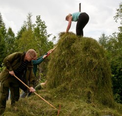 7748950064_f538353c23_o