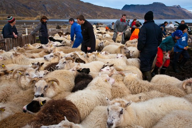 8086391123_1f07debc83_b