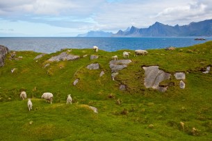 9026021267_e01909215b_o