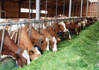 ????????????????????????????????????