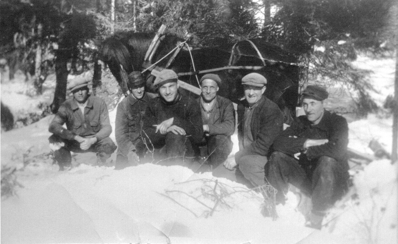 Skogsdrift i Bjørgfjellet ca 1950 r